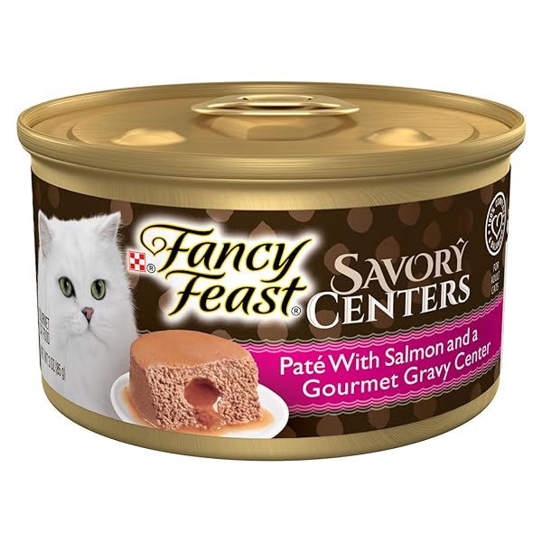 FANCY FEAST, SAVORY CENTERS PATE WITH SALMON AND GOURMET GRAVY CENTER CAT FOOD, 3 OUNCE