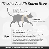 rabbitgoo Cat Harness and Lead Set for Extra Small Cats Reflective Vest Harness view 2