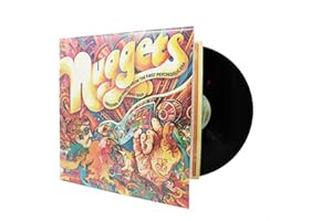 Big Fudge Vinyl Record Sleeves for Gatefold Albums - 25 Outer 12 Inch LP Sleeves, Crystal Clear Poly Plastic Protective Storage for Vinyl Records