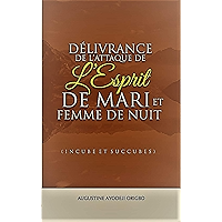 DELIVRANCE DE L'ATTAQUE ET L'OPPRESSION DE L'ESPRIT DE MARI et FEMME DE NUIT (INCUBES ET SUCCUBES): la solution aux… book cover