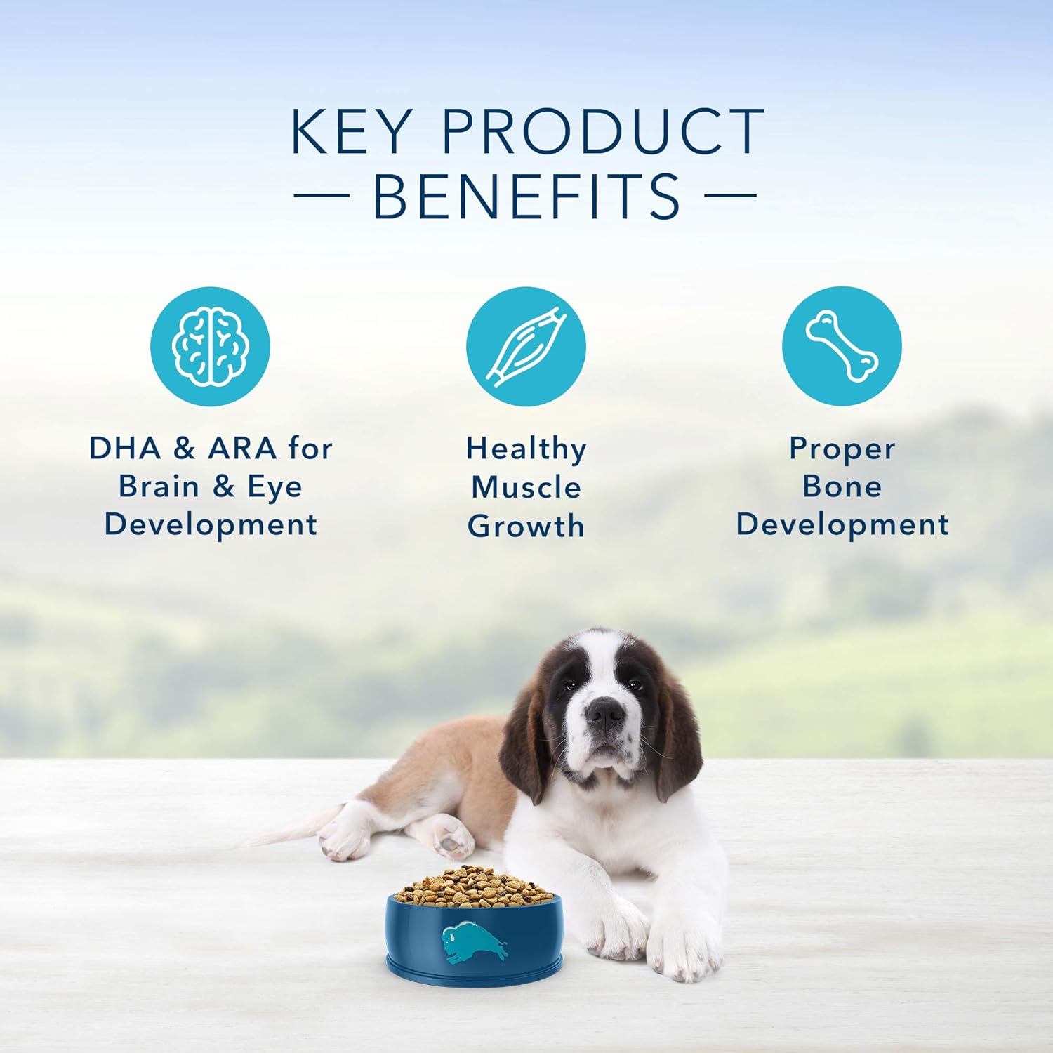 Blue Buffalo Life Protection Formula Natural Puppy Large Breed Dry Dog Food, Chicken and Brown Rice 30-Lb: Pet Supplies