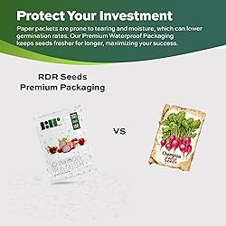 500 Champion Radish Seeds | USA