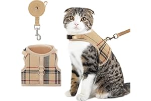 BINGPET Cat Harness and Leash Escape Proof - Soft and Air-Mesh Kitten Travel Walking Harness - Vest Harness for Small Medium Large Cats & Puppy Dog & Rabbit