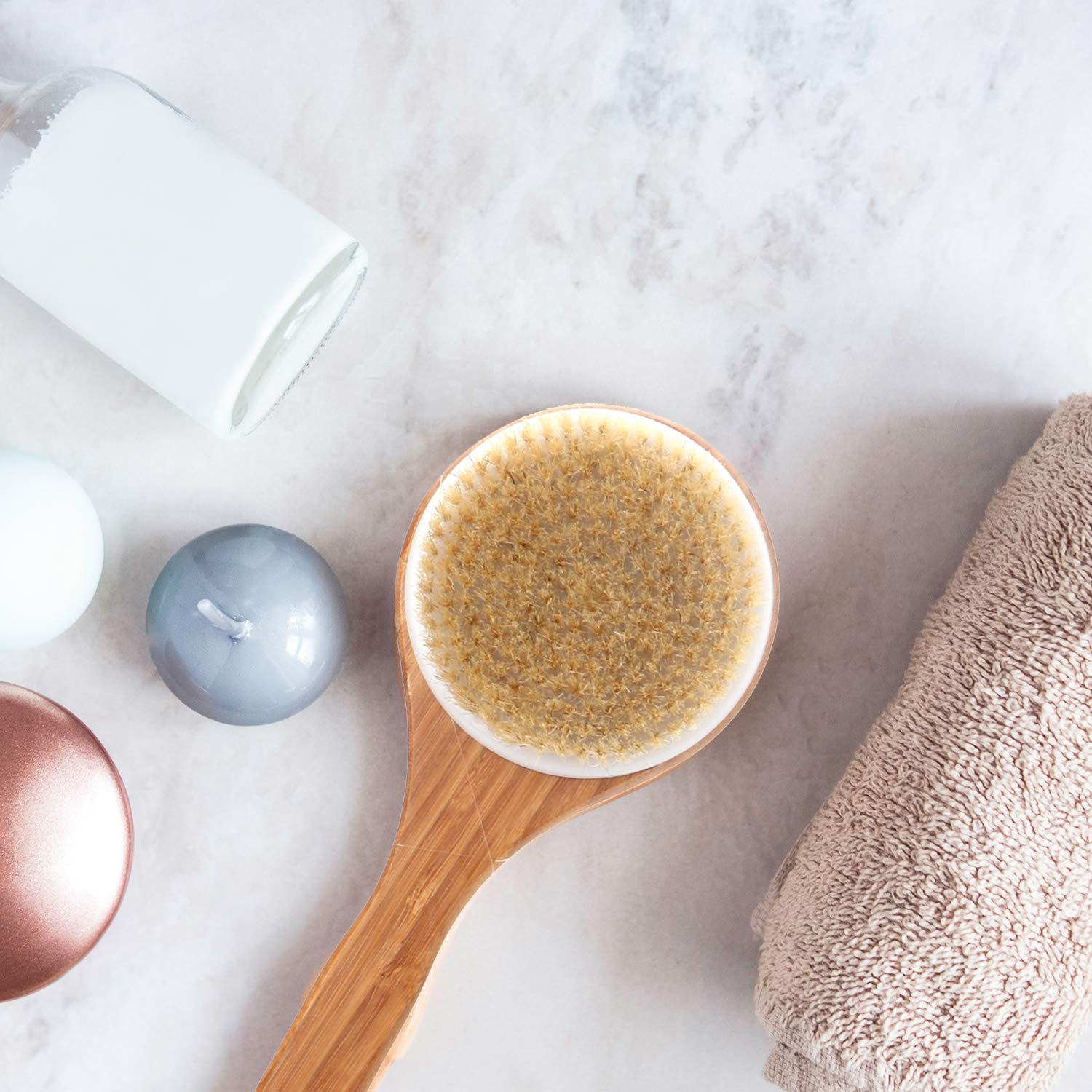 Body Brush with Long Bamboo Handle - Natural Bristle, Back Scrubber for Exfoliating Skin, Improve Circulation and Shower Brush for Skin Health - Wet or Dry body Brushing by THETIS Homes : Beauty