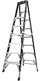 Werner 6ft aluminum ladder