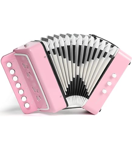 Amazon.com: Kids Accordion, 10 Keys Control Mini Accordion Toy