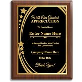 Personalized Employee Recognition Award Plaque - Employee Appreciation Gift | Add Your Own Logo or Text, Recognition Awards for Employees/Retirement/Service Appreciation