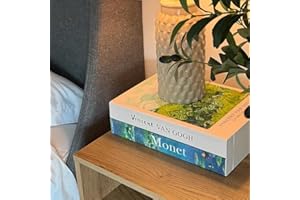 TASTEPICK Book Shape Decorative Cable Management Box - Expandable Cable Organizer Box with Magnetic Closure for Home & Office (GoghMonet, Standard)