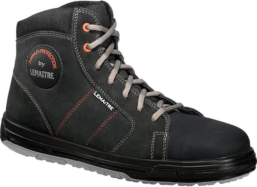 Lemaitre securité Clearance