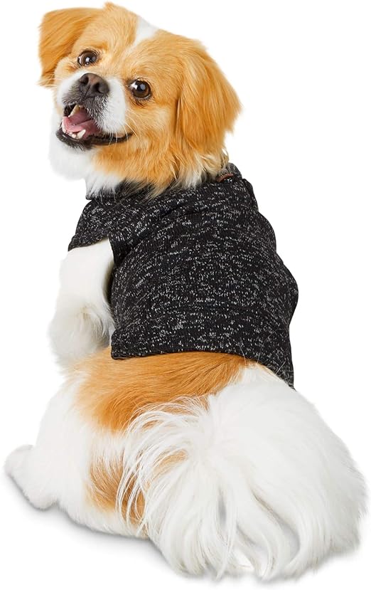 reddy dog clothes