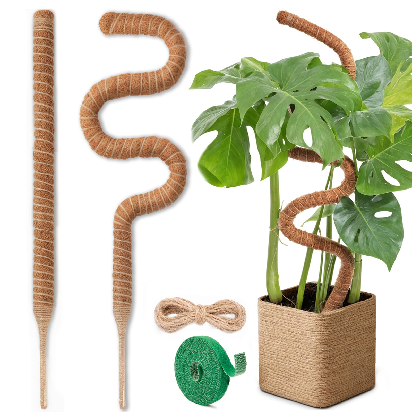 Bendable Moss Pole for Plants, Garden Sage 2 Pieces of 23.6 Inch/60 cm Monstera Cheese Plants Moss Pole kit, Handmade Stakes for Indoor and Climbing Plants