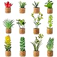 12 Pieces Mini Artificial Succulent Plants Refrigerator Magnets for Shelf Kitchen Counter Office Decor Tiny Miniature Desk Pl