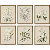 Amazon.com: Vintage Botanical Wall Art Set of 6 Neutral Floral Canvas ...