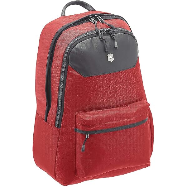 Amazon.com: Victorinox 606736 Altmont Original Standard Backpack