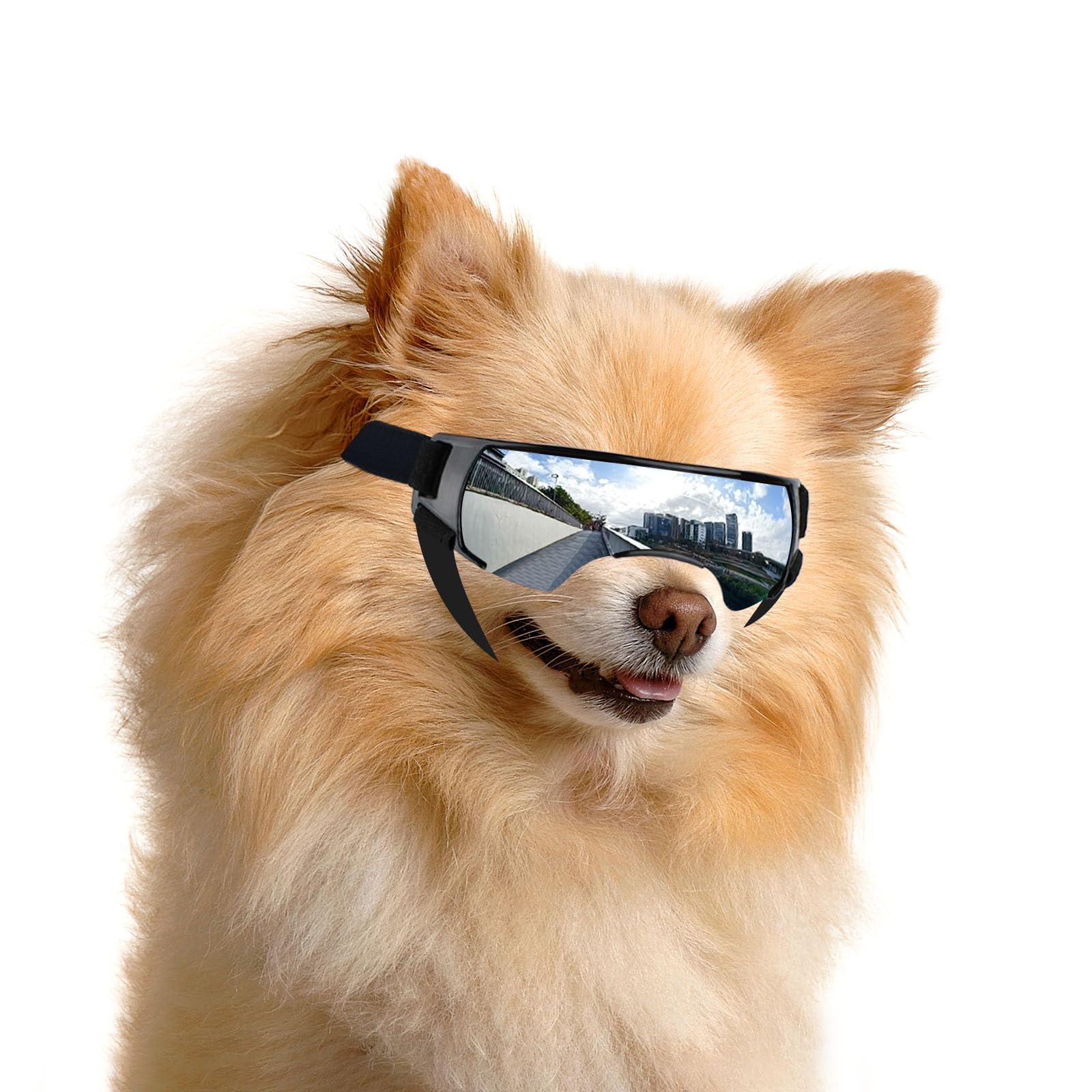 Photo 1 of ENJOYING Dog Sunglasses Small Breed, Anti-UV Puppy Goggles for Small Dogs, Windproof Outdoor Dog Eye Protection for Driving Biking, Adjustable Head Straps, Cute Silver