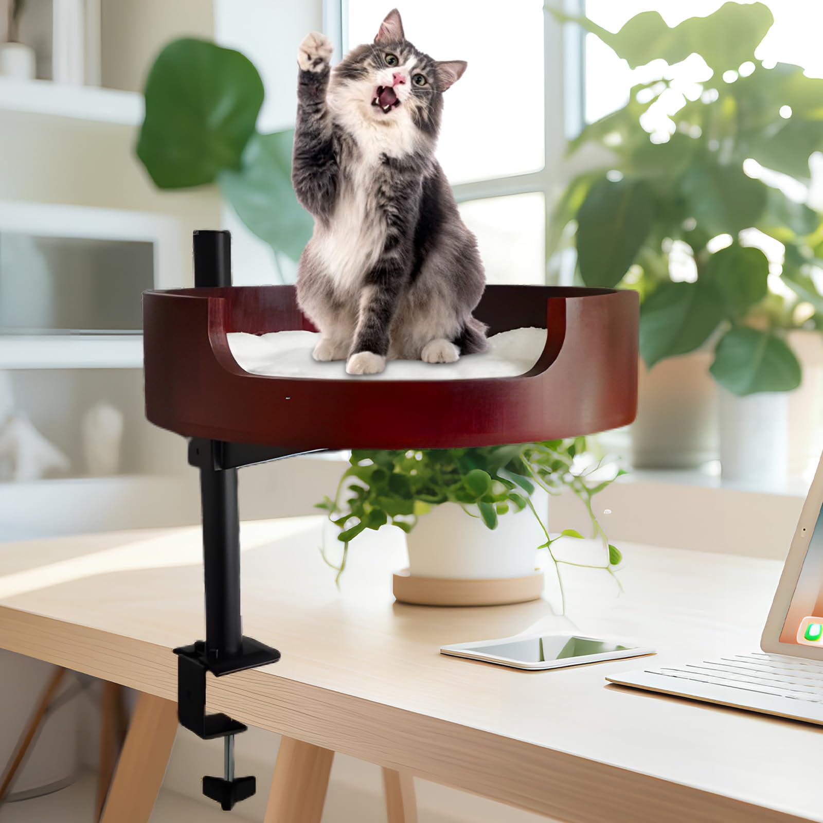 Photo 1 of XZKING Cat Desk Bed- Adjustable Wooden Cat Bed for Home Office and Study Rooms, Desktop Kitten Furniture Attachment with Pet Mat, Ball, Mouse (Large)
