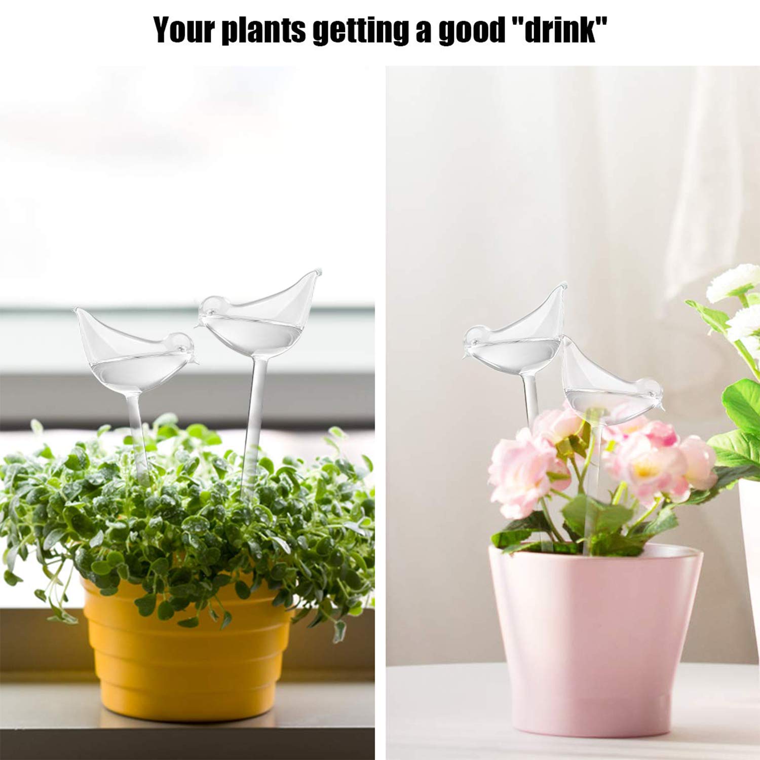 jiabang Plant Watering Bulbs (2 Pack) Glass Bird Self-Watering Stakes Water Globe Automatic Irrigation Device for Indoor & Outdoor