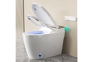 BAOTREE Smart Toilet, One Piece Toilet, Smart Toilet with Bidet Built In LED Display, Foot Sensor, Heated Bidet Seat, Blackout Flush, Warm Water and Dryer