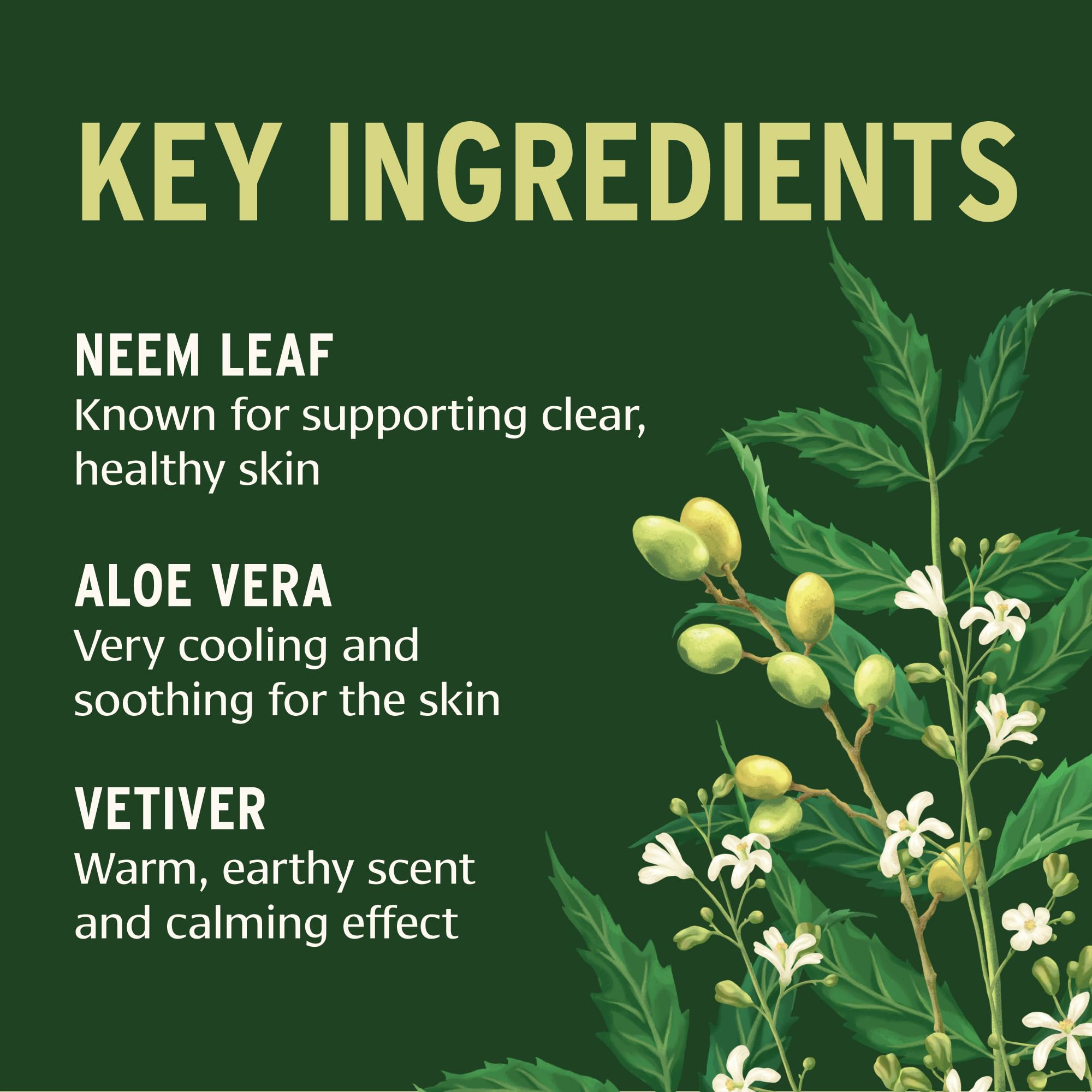 Banyan Botanicals Neem & Aloe Soap – Calming and Soothing Soap for Sensitive Skin – With Organic Neem Leaf, Aloe Vera, and Vetiver Essential Oil – 4 oz Bar – Free of Sulfates, Phthalates & Parabens