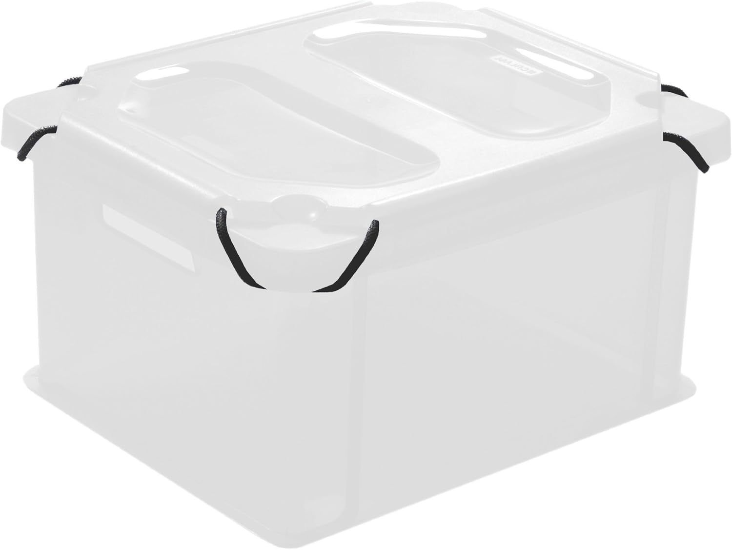 Amazon.de CURVER 154764 Box aus Polypropylen, mit Gummizug und Deckel