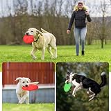 Nobleza 2 Pack Large Natural Rubber Frisbee 20 cm Red Green Dog Flying Disc view 7