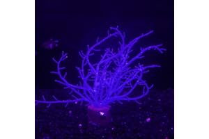 Bluecoco Soft Silica Gel Moves Naturally with Water Flow, Aquarium Decorations Glow in The Dark, Glowing Coral Ornaments for Fish Tank Decorations (Blue, Tree)
