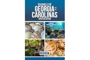SEASHELLS OF GEORGIA AND THE CAROLINAS UPDATED EDITION: A Smart Beachcomber’s Lead