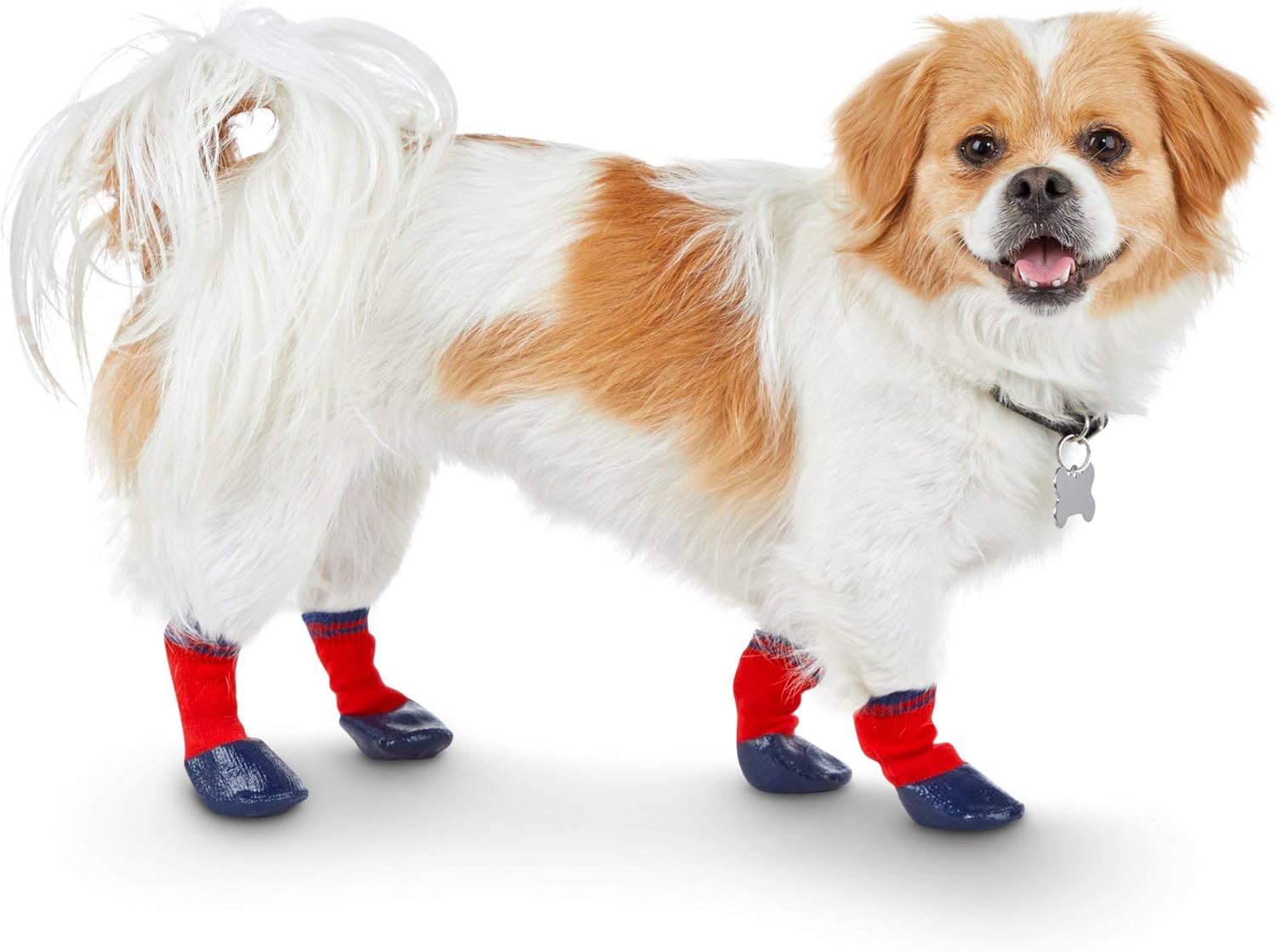foufou dog socks