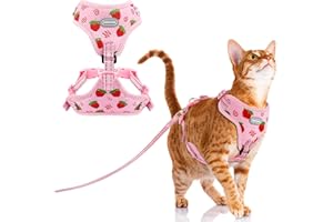 GoGoPaw Cat Harness and Leash Set, Soft Kitten Harness Breathable Cute Mesh Cat Harness Escape Proof for Walking, Adjustable Reflective Cat Vest Harness for Large Small Cat Kitten Puppy(Pink, S)