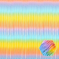 6 Pack Light Rainbow Foil Fringe Curtain