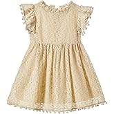 Niyage Toddler Girls Elegant Lace Pom Pom Flutter Sleeve Party Princess Dress