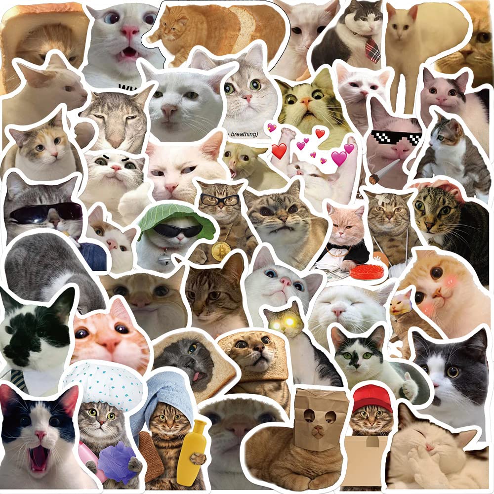Cat Meme Stickers for Laptop (50 PCS),Gift for Children Teens Adults Girl Boys,Waterproof Stickers for Water Bottle,Cute Cat Vinyl Stickers for Scrapbook Skateboard Bike Phone Dairy