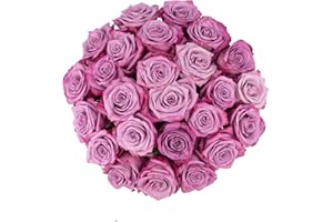 Colour Republic Fresh Cut Premium Ecuadorian Lavender Roses, 25 Fresh Flowers