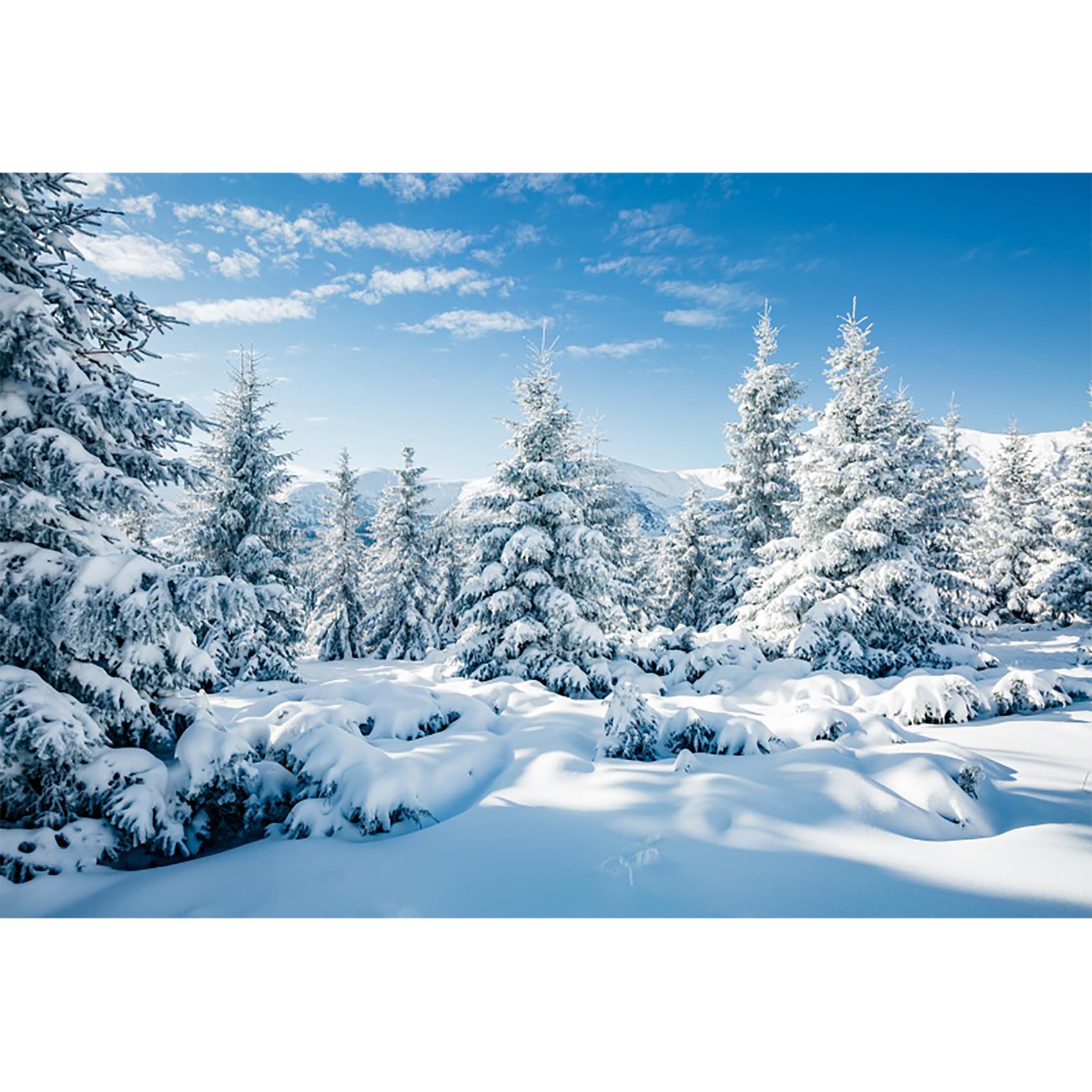 MIRRORANG 2,2x1,5m Winter Forest Backdrop Outdoor Snow Scene Pine Tree Sky Outdoor Party Frozen Poster Christmas Backdrops for Photoshoot New Year Party Decor Photo Studio Prop, Vinyl