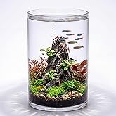 Maxdot 3.2 Gallon Cylindrical Glass Fish Tank, 360&deg; Aquarium for Betta | Easy Maintain Shrimp Snails Microfauna, Solid Base Desktop Starter, Full View Design with Aquatic Planting Terrarium