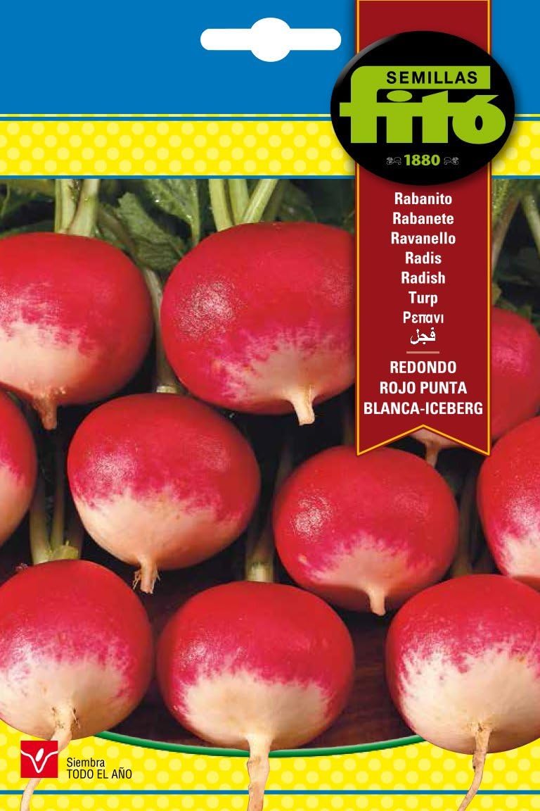 Semillas Fitó 269 - Semillas de Rabanito Redondo Rojo Punta Blanca ...