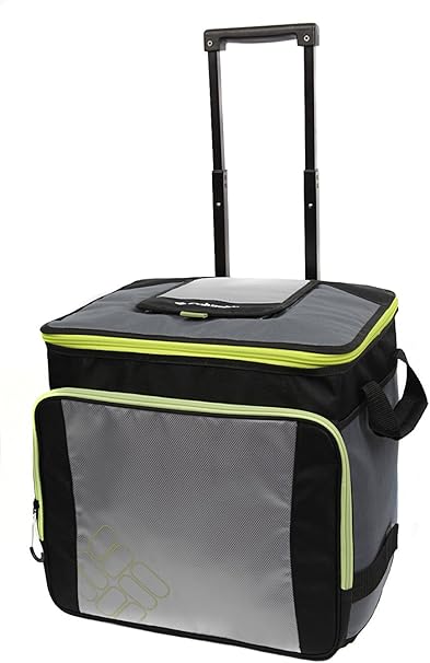 collapsible cooler amazon