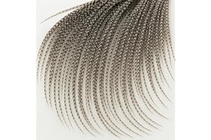 25 Feather Hair Extension Kit 7"-13" long – 100% Real Rooster Feathers – Long, Natural Strands by Sexy Sparkles (Grizzly)