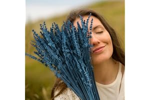 GLICRILI Dried Blue Lavender Flowers Bundle-Dried Preserved Lavender Bouquet 15''-17" for Home Wedding Shower Vase Décor, Aromatherapy, Fragrance, Blue Décor , 1 Packs Live Plant 50g（1.76oz）
