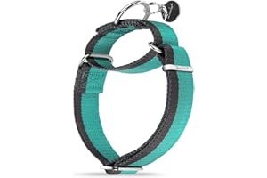 Dazzber Martingale Collar 1.5 Inch Wide 1200D Extra Strong Nylon Dog Collar, No Pull Heavy Duty Dog Collar with 2-Color Stripe for Medium to XLarge Dogs (Large, 1 1/2 Inch Wide, Mint Blue & Grey)