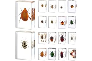 ABURRORI 16 Pcs Ladybug Insect in Resin Specimen Butterfly Bugs Collection Paperweights，16 Styles Real Bug Specimen Bug Kit Preserved in Resin for Scientific Educational Display Supplies (Ladybug)