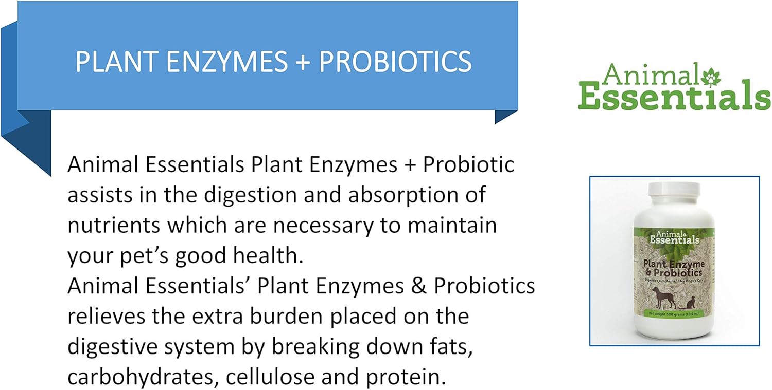 Animal Essentials Plant Enzyme Plus Probiotics 300g Amazon Ca Pet Supplies