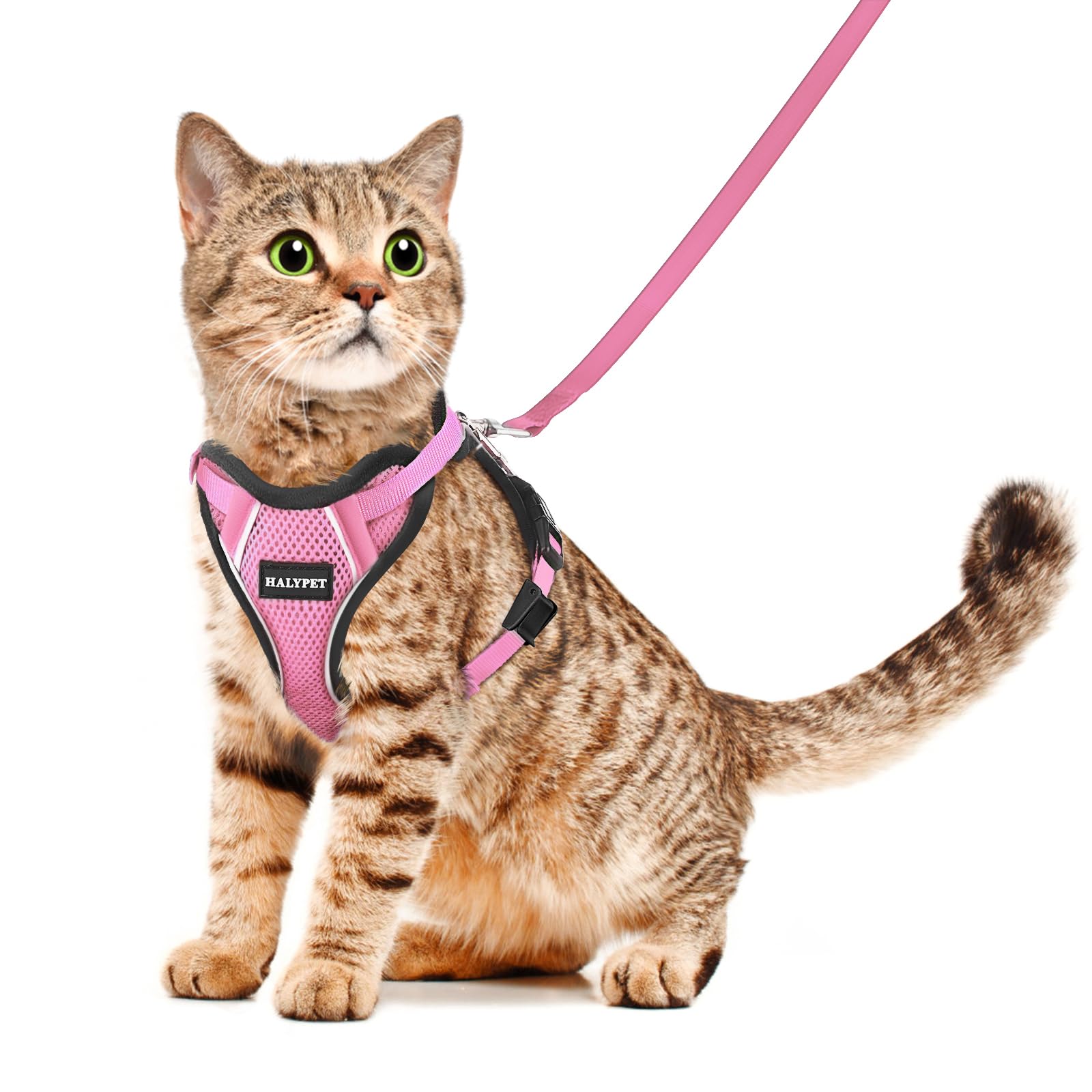Photo 1 of Halypet Cat Harness and Leash Set [H500 Pro Escape Proof Cat Harness for Walking, Adjustable Breathable Soft Travel Cat Leash, Reflective Strips Kitten Harness