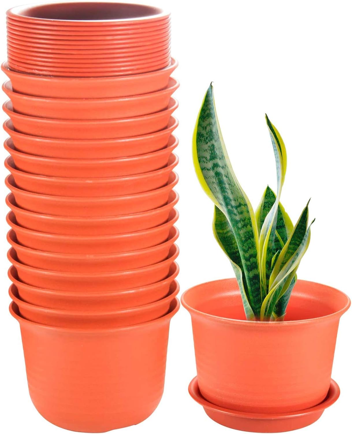 Plant Pots, ZOUTOG 6 inch Plastic Planters with Drainage Hole and Tray, Pack of 15 - Plants Not Included, Brown : Garden & Outdoor