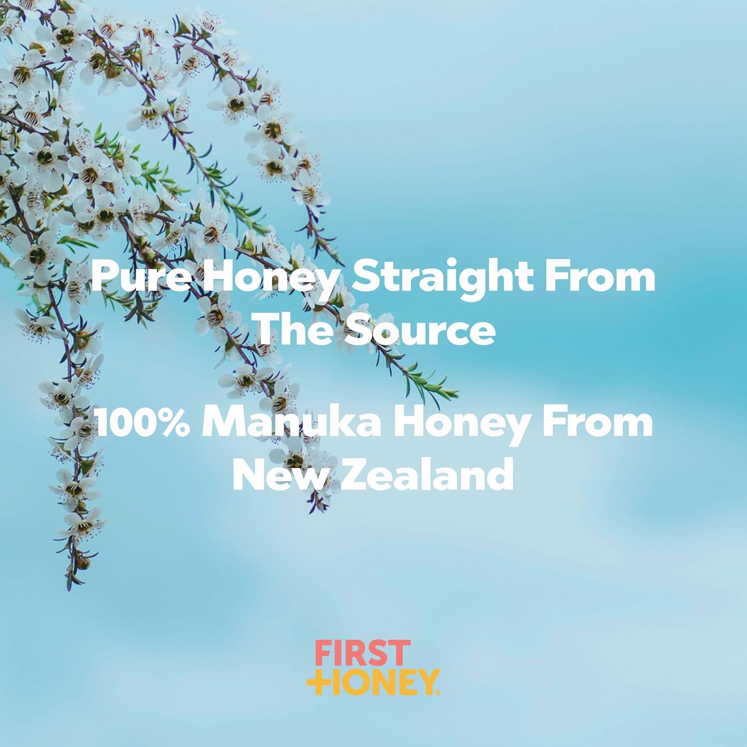 First Honey® Manuka Honey Cream for Dry & Itchy Skin | Fast Relief for Eczema, Rosacea, Psoriasis, & Dermatitis | Natural & No Fillers | Safe for Babies & Toddlers | 1.75 oz: Health & Personal Care