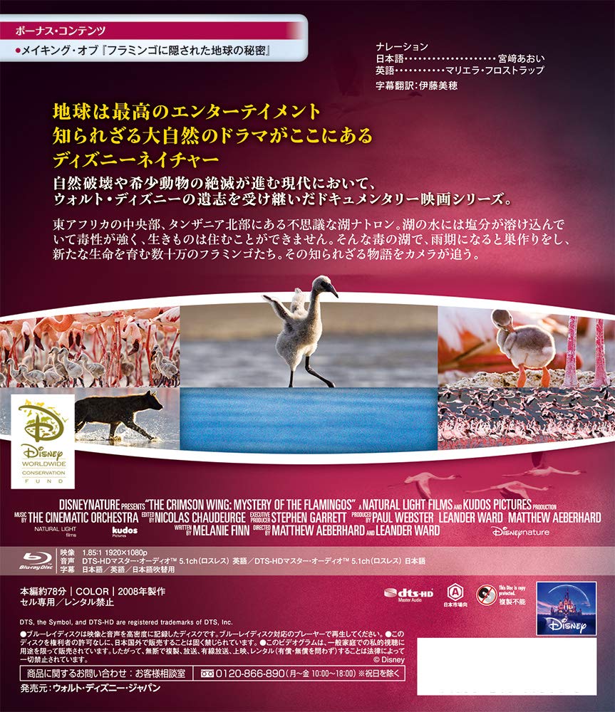 Documentary Disneynature The Crimson Wing Mystery Of Flamingos Edizione Giappone Italia Blu Ray Amazon Es Cine Y Series Tv