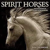 Spirit Horses 2026 Wall Calendar by Tony Stromberg