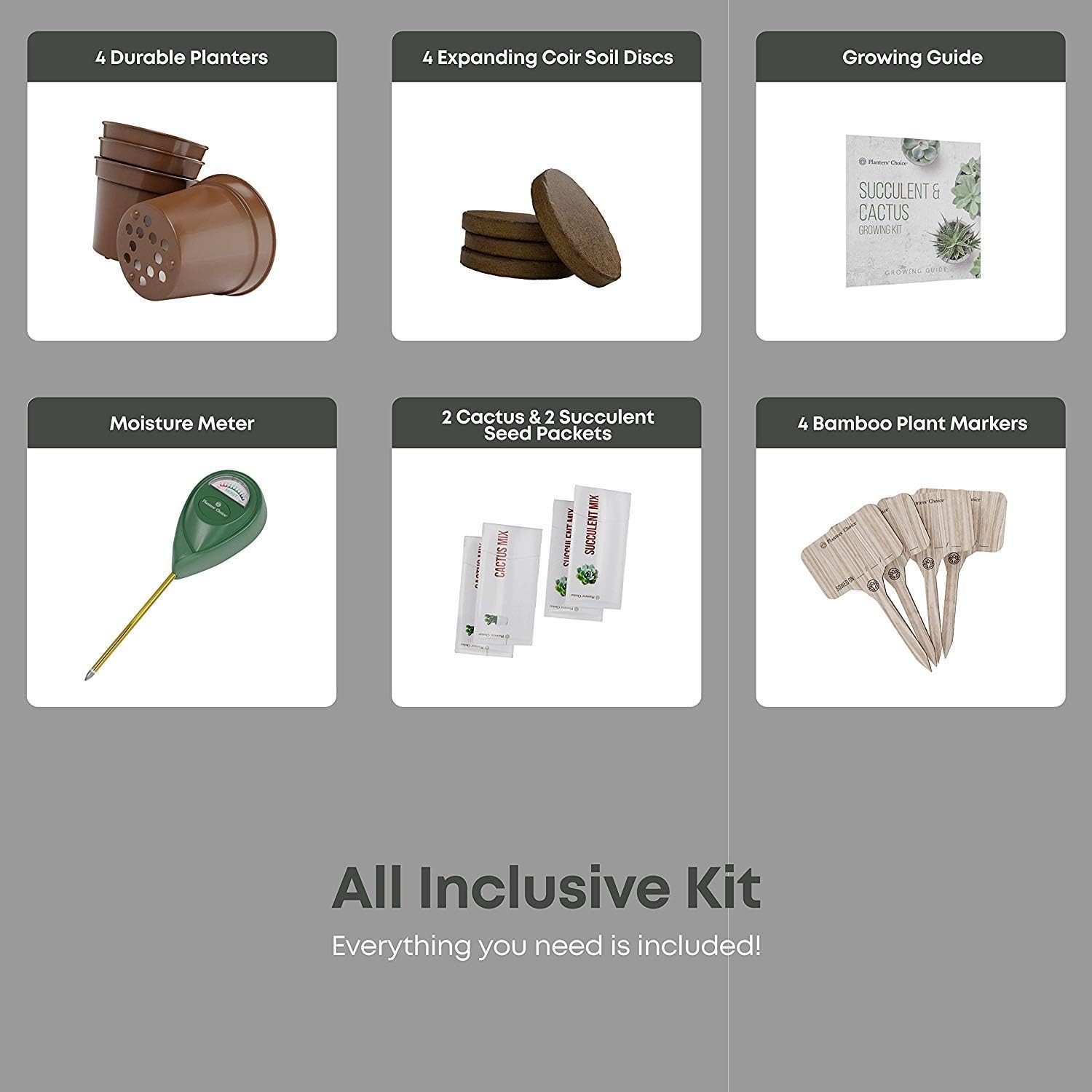 Kit de Cultivo de Cactus y Plantas Suculentas con Medidor de ...