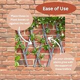 Garden Mile Grey Wooden Trellis 180x90cm Heavy Duty Climbing Plant Support Panel view 5