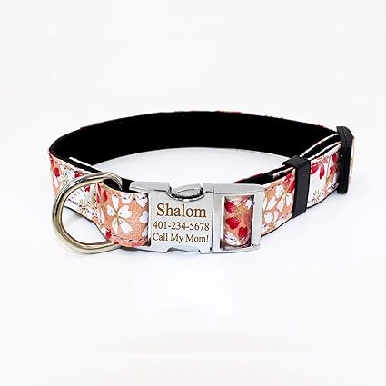 premium dog collars and leashes
